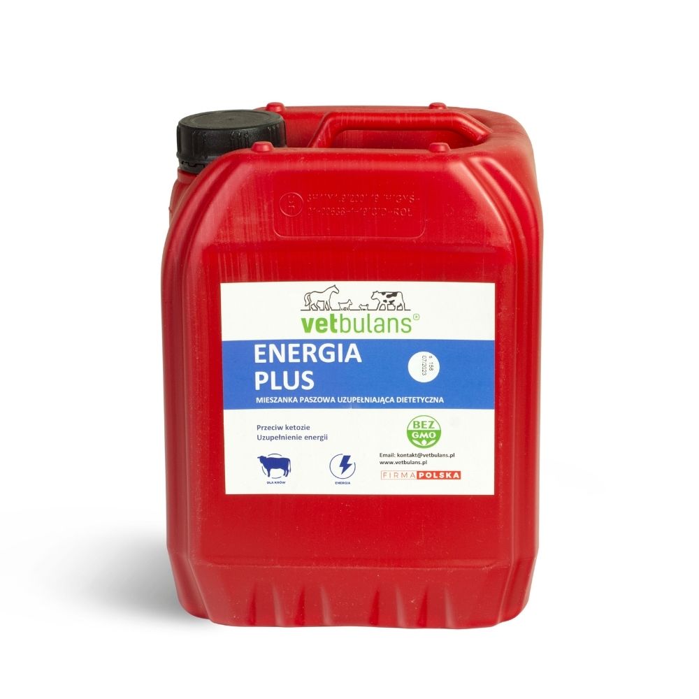 Untitled design - 2021-10-18T113301.222